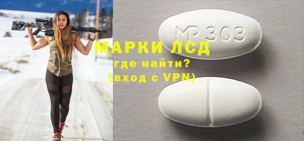 гашик Алексин