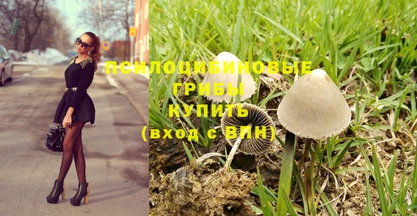 мет Алзамай